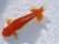 画像3: 錦坂本特選！ジャンボ獅子頭！お買い得良体形魚（2023年産・17cm・オス）ｊ080